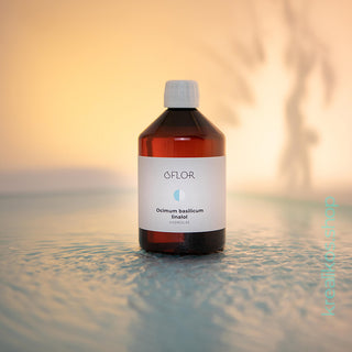 Hydrolat de Basilic exotique